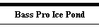 Bass Pro Ice Pond