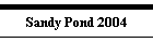 Sandy Pond 2004