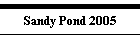 Sandy Pond 2005